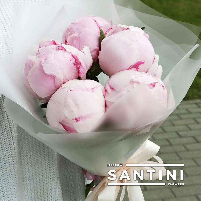 Букет из 5 розовых пионов - Сантини - Магазин Цветов Santini