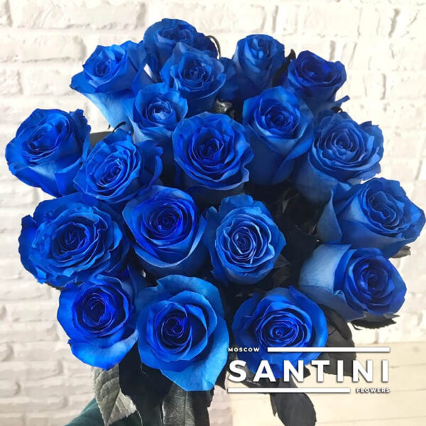 купить синие розы с доставкой