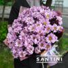 Букет из 15 кустовых хризантем фиолетовых